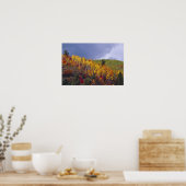 Logan Canyon in Utah im Herbst mit Vorbei Poster (Küche)