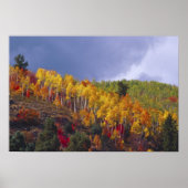 Logan Canyon in Utah im Herbst mit Vorbei Poster (Vorne)