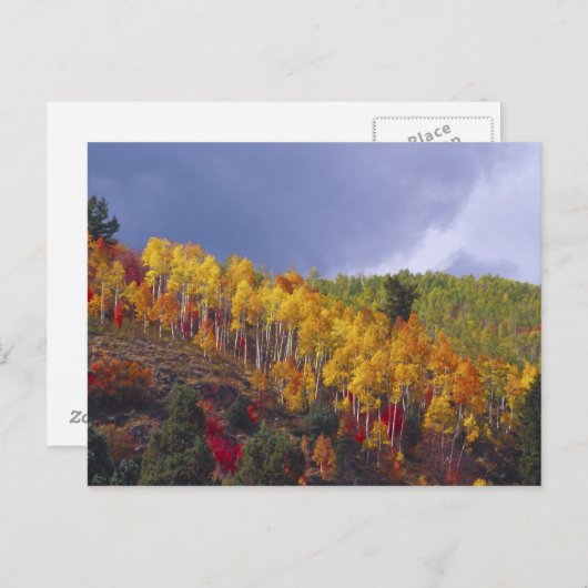 Logan Canyon in Utah im Herbst mit vorbei Postkarte (Vorne/Hinten)