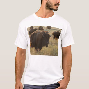Logan County, Kansas Bison-T - Shirt