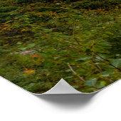 Logan Pass Glacier Nationalpark Panorama Print Poster (Ecke)