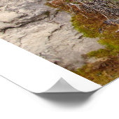 Logan Waterfall Poster (Ecke)