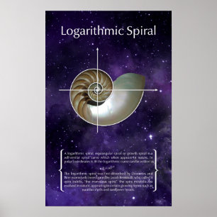 Logarithmisch Poster
