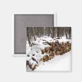 Logarithmus im Wald-Magnet Magnet (Vorderseite/Rückseite)