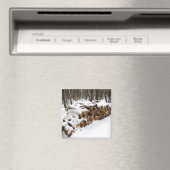 Logarithmus im Wald-Magnet Magnet (In Situ (Geschirrspüler))
