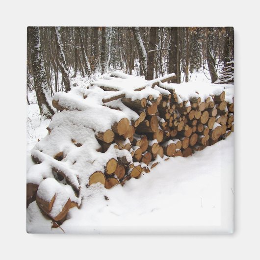 Logarithmus im Wald-Magnet Magnet (Vorne)