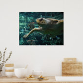 Logger Head Sea Turtle Poster (Küche)