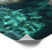 Logger Head Sea Turtle Poster (Ecke)