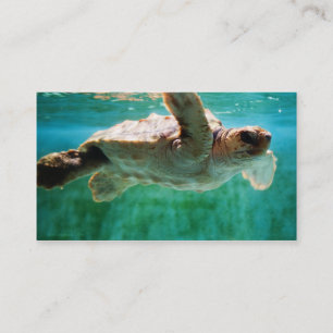 Loggerhead #1 Mini Print Visitenkarte