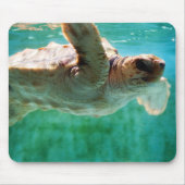 Loggerhead #1 Mousepad (Vorne)