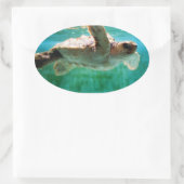 Loggerhead #1 ovaler aufkleber (Tasche)
