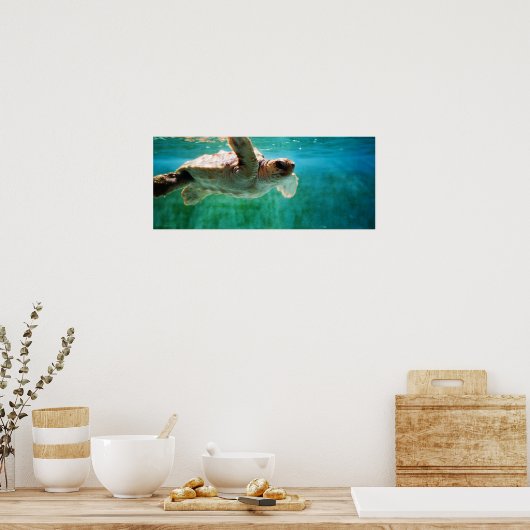 Loggerhead #1 Poster (Küche)