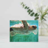 Loggerhead #1 Postkarte (Stehend Vorderseite)