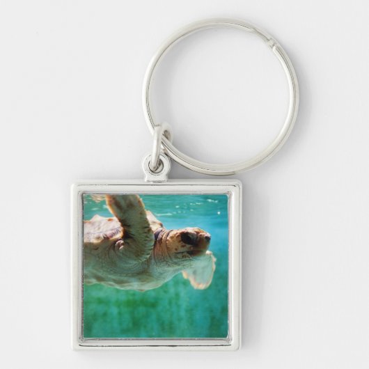 Loggerhead #1 Schlüsselanhänger (Vorne)