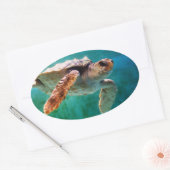 Loggerhead #2-Aufkleber Ovaler Aufkleber (Umschlag)
