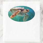 Loggerhead #2-Aufkleber Ovaler Aufkleber (Tasche)