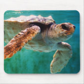 Loggerhead #2 Mousepad (Vorne)