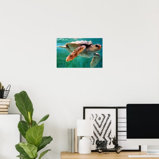 Loggerhead #2 Poster (Heimbüro)