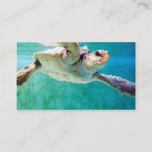 Loggerhead #3 Mini Print Visitenkarte