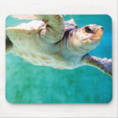 Loggerhead #3 Mousepad (Vorne)