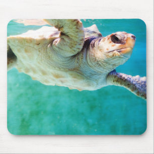 Loggerhead #3 Mousepad
