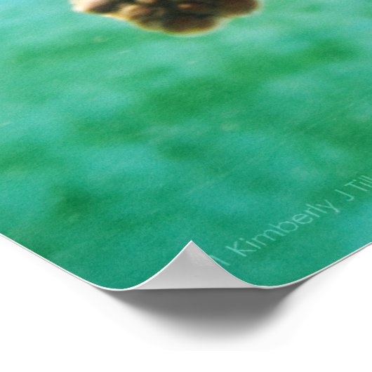 Loggerhead #3 Poster (Ecke)