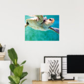 Loggerhead #3 Poster (Heimbüro)