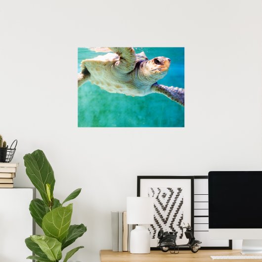 Loggerhead #3 Poster (Heimbüro)
