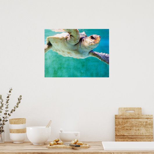Loggerhead #3 Poster (Küche)