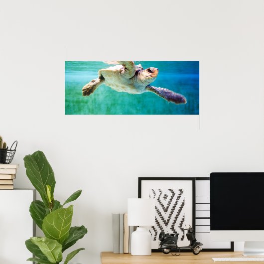 Loggerhead #3 Poster (Heimbüro)