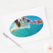 Loggerhead #4-Aufkleber Ovaler Aufkleber (Umschlag)