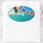 Loggerhead #4-Aufkleber Ovaler Aufkleber (Tasche)