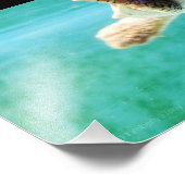 Loggerhead #4 Foto (Ecke)