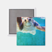 Loggerhead #4 Magnet (Vorderseite/Rückseite)