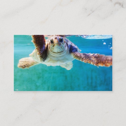 Loggerhead #4 Mini Print Visitenkarte (Vorderseite)