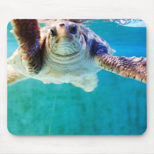 Loggerhead #4 Mousepad (Vorne)