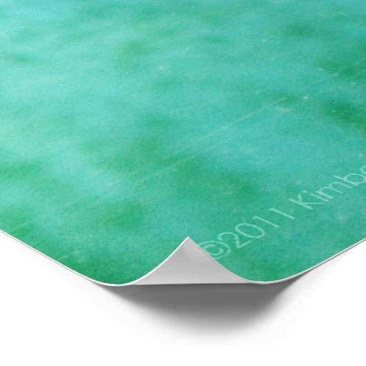 Loggerhead #4 Poster (Ecke)