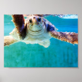 Loggerhead #4 Poster (Vorne)