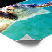 Loggerhead #4 Poster (Ecke)