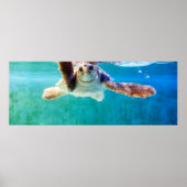 Loggerhead #4 Poster (Vorne)