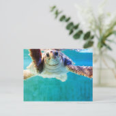 Loggerhead #4 Postkarte (Stehend Vorderseite)