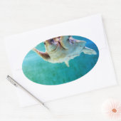 Loggerhead #5-Aufkleber Ovaler Aufkleber (Umschlag)