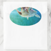 Loggerhead #5-Aufkleber Ovaler Aufkleber (Tasche)