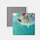 Loggerhead #5 magnet (Vorderseite/Rückseite)