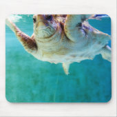 Loggerhead #5 Mousepad (Vorne)