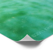 Loggerhead #5 Poster (Ecke)