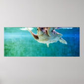 Loggerhead #5 Poster (Vorne)