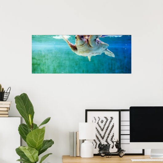 Loggerhead #5 Poster (Heimbüro)