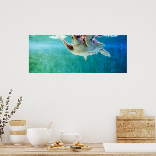 Loggerhead #5 Poster (Küche)