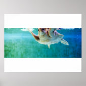 Loggerhead #5 Poster (Vorne)
